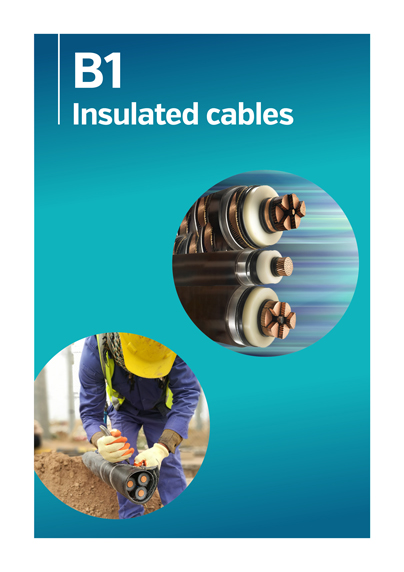 B1 - Insulated cables
