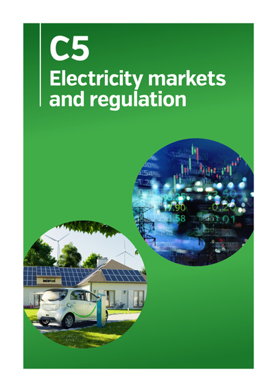 C5 - Electricity markets and regulation