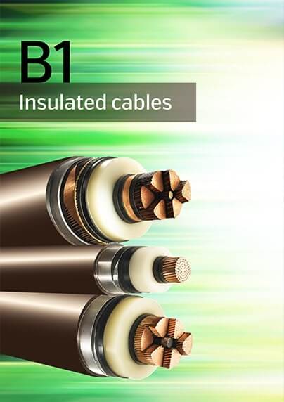B1 - Insulated cables