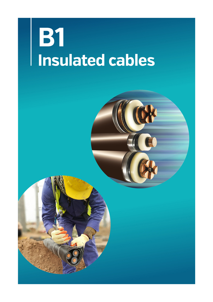 B1 - Insulated cables