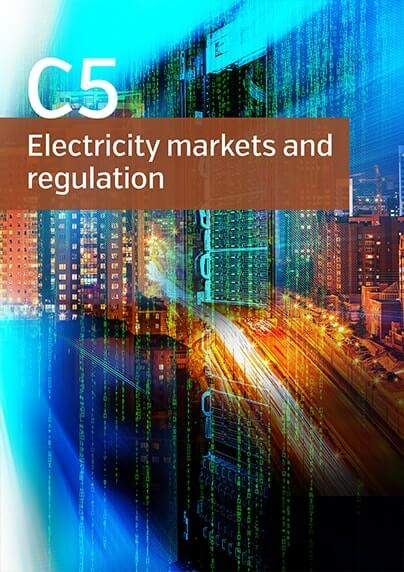 C5 - Electricity markets and regulation