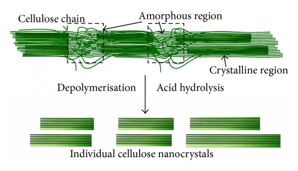 Changes of new unused insulating kraft paper properties during drying - Impact on degree of polymerization